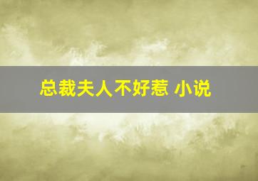 总裁夫人不好惹 小说